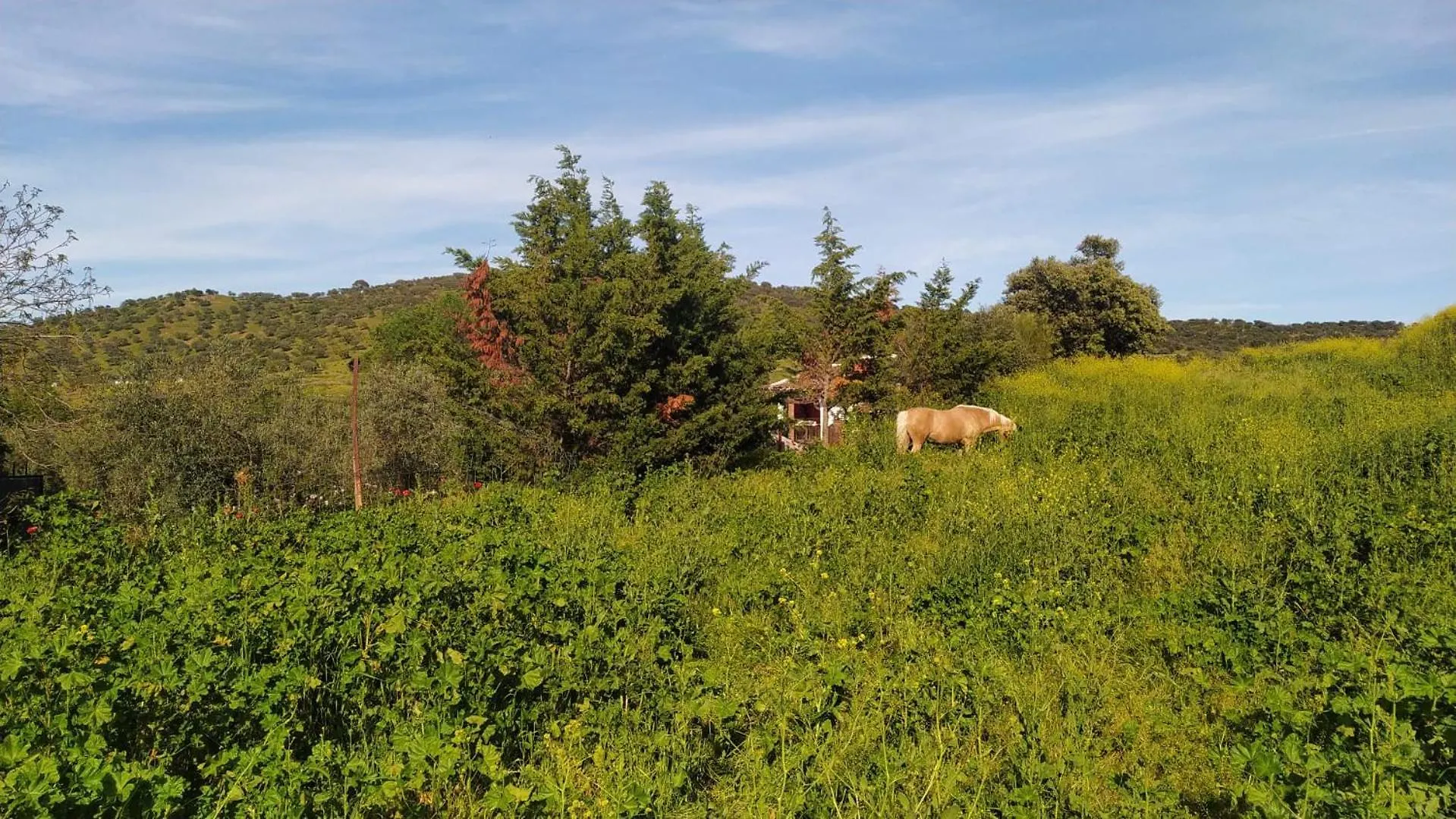 Σπίτι διακοπών Huerta Del Pasil Βίλα Κόρδοβα Ισπανία
